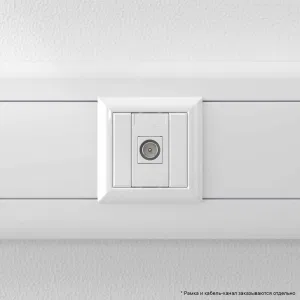ДКС Розетка TV одиночная модульная, Avanti, белое облако, 1 модуль 4400501 DKC ДКС Розетка TV одиночная модульная, Avanti, белое облако, 1 модуль 4400501 DKC