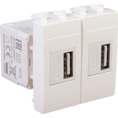 ДКС USB зарядное устройство модульное, Avanti, белое облако, 2 модуля, 2.1 А 4400542 DKC ДКС USB зарядное устройство модульное, Avanti, белое облако, 2 модуля, 2.1 А 4400542 DKC