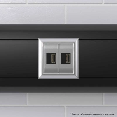 ДКС USB зарядное устройство модульное, Avanti, закаленная сталь, 2модуля, 2.1 А 4404542 DKC ДКС USB зарядное устройство модульное, Avanti, закаленная сталь, 2модуля, 2.1 А 4404542 DKC