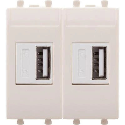 ДКС USB зарядное устройство модульное 2.1 А, Avanti, ванильная дымка, 2 модуля 4405542 DKC