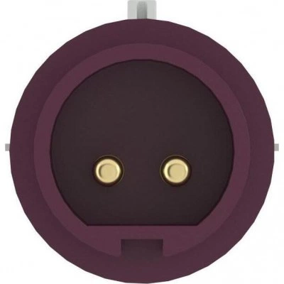 ДКС Вилка кабельная CP IP44 16A 2P 25В CP024-016-02 DKC ДКС Вилка кабельная CP IP44 16A 2P 25В CP024-016-02 DKC