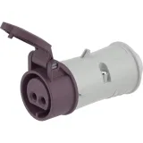 ДКС Розетка кабельная CS IP44 32A 2P 25В CS024-032-02 DKC