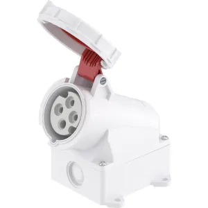 ДКС Розетка настенная WS IP67 16A 3P+E 400В DIS5181656T DKC ДКС Розетка настенная WS IP67 16A 3P+E 400В DIS5181656T DKC