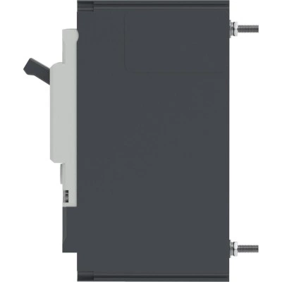 ДКС Авт. выкл. YON pro MNX125L 2P 100A 70kA при AC240V расц. TMD MNX125L2PTMD0100 DKC ДКС Авт. выкл. YON pro MNX125L 2P 100A 70kA при AC240V расц. TMD MNX125L2PTMD0100 DKC