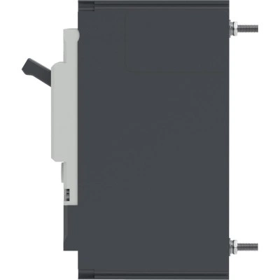 ДКС Авт. выкл. YON pro MNX125M 2P 125A 100kA при AC240V расц. TMD MNX125M2PTMD0125 DKC ДКС Авт. выкл. YON pro MNX125M 2P 125A 100kA при AC240V расц. TMD MNX125M2PTMD0125 DKC