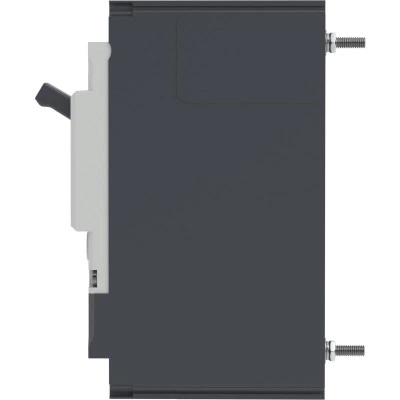 ДКС Авт. выкл. YON pro MNX160H 2P 160A 150kA при AC240V расц. TMD MNX160H2PTMD0160 DKC ДКС Авт. выкл. YON pro MNX160H 2P 160A 150kA при AC240V расц. TMD MNX160H2PTMD0160 DKC