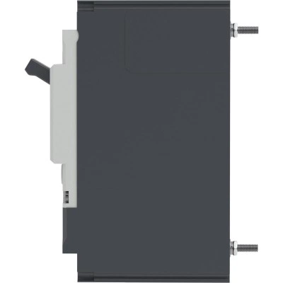 ДКС Авт. выкл. YON pro MNX160M 2P 160A 100kA при AC240V расц. TMD MNX160M2PTMD0160 DKC ДКС Авт. выкл. YON pro MNX160M 2P 160A 100kA при AC240V расц. TMD MNX160M2PTMD0160 DKC
