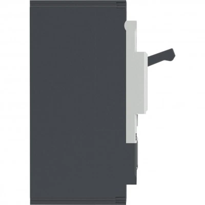 ДКС Авт. выкл. YON pro MNX250H 2P 200A 150kA при AC415V расц. TMD MNX250H2PTMD0200 DKC ДКС Авт. выкл. YON pro MNX250H 2P 200A 150kA при AC415V расц. TMD MNX250H2PTMD0200 DKC