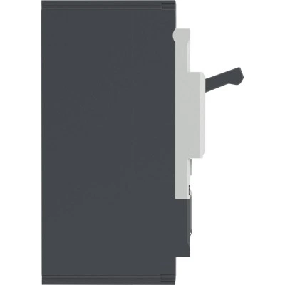 ДКС Авт. выкл. YON pro MNX250H 2P 250A 150kA при AC415V расц. TMD MNX250H2PTMD0250 DKC ДКС Авт. выкл. YON pro MNX250H 2P 250A 150kA при AC415V расц. TMD MNX250H2PTMD0250 DKC