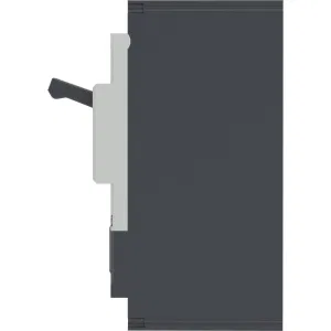 ДКС Авт. выкл. YON pro MNX250H 2P 250A 150kA при AC415V расц. TMD MNX250H2PTMD0250 DKC ДКС Авт. выкл. YON pro MNX250H 2P 250A 150kA при AC415V расц. TMD MNX250H2PTMD0250 DKC