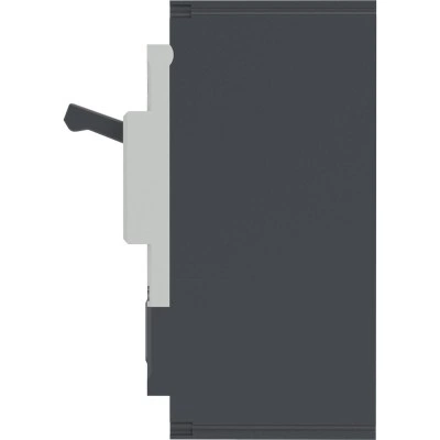 ДКС Авт. выкл. YON pro MNX250H 2P 250A 150kA при AC415V расц. TMD MNX250H2PTMD0250 DKC ДКС Авт. выкл. YON pro MNX250H 2P 250A 150kA при AC415V расц. TMD MNX250H2PTMD0250 DKC