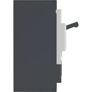 ДКС Авт. выкл. YON pro MNX250L 2P 250A 70kA при AC415V расц. TMD MNX250L2PTMD0250 DKC ДКС Авт. выкл. YON pro MNX250L 2P 250A 70kA при AC415V расц. TMD MNX250L2PTMD0250 DKC