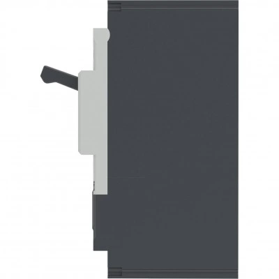 ДКС Авт. выкл. YON pro MNX250L 2P 250A 70kA при AC415V расц. TMD MNX250L2PTMD0250 DKC ДКС Авт. выкл. YON pro MNX250L 2P 250A 70kA при AC415V расц. TMD MNX250L2PTMD0250 DKC