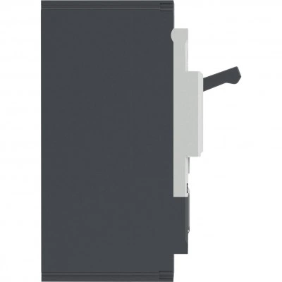 ДКС Авт. выкл. YON pro MNX250M 2P 250A 100kA при AC415V расц. TMD MNX250M2PTMD0250 DKC ДКС Авт. выкл. YON pro MNX250M 2P 250A 100kA при AC415V расц. TMD MNX250M2PTMD0250 DKC
