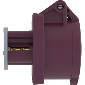 ДКС Розетка панельная PSS IP44 16A 2P 25В PSS024-016-02 DKC ДКС Розетка панельная PSS IP44 16A 2P 25В PSS024-016-02 DKC