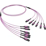 ДКС Оптическая разветвительная сборка 12ОВ 50/125 OM4, 6хLC Duplex Uniboot/6хLC Duplex Uniboot, 5м RNFLL12405 DKC