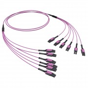 ДКС Оптическая разветвительная сборка 12ОВ 50/125 OM4, 6хLC Duplex Uniboot/6хLC Duplex Uniboot, 10м RNFLL12410 DKC