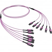 ДКС  Оптическая разветвительная сборка 12ОВ 50/125 OM4, 6хLC Duplex Uniboot/6хLC Duplex Uniboot, 40м RNFLL12440 DKC