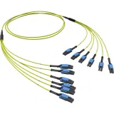ДКС  Оптическая разветвительная сборка 12ОВ 9/125 OS2, 6хLC-UPC Duplex Uniboot/6хLC-UPC Duplex Uniboot, 35м RNFLL12S35 DKC
