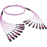 ДКС Оптическая разветвительная сборка 16 ОВ, 50/125 OM4, 8xLC-UPC Duplex Uniboot/8xLC-UPC Duplex Uniboot, тип полярности - прямая (Tx-->Rx), 2 м RNFLL16402 DKC