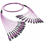 ДКС Оптическая разветвительная сборка 24ОВ 50/125 OM4, 12хLC Duplex Uniboot/12хLC Duplex Uniboot, 10м RNFLL24410 DKC