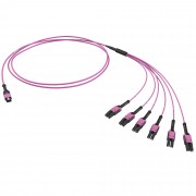 ДКС Оптическая разветвительная сборка 12ОВ 50/125 OM4, 1xMTP PRO(12)/6хLC Duplex Uniboot, 2м (предустановленная конфигурация: MTP Male , тип полярности - прямая (Tx-->Rx) RNFML12402 DKC