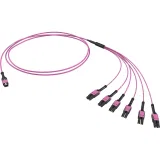 ДКС Оптическая разветвительная сборка 12ОВ 50/125 OM4, 1xMTP PRO(12)/6хLC Duplex Uniboot, 3м (предустановленная конфигурация: MTP Male , тип полярности - прямая (Tx-->Rx) RNFML12403 DKC