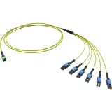 ДКС  Оптическая разветвительная сборка 12ОВ 9/125 OS2, 1xMTP PRO(12)/6хLC-UPC Duplex Uniboot, тип полярности - прямая (Tx-->Rx), 4м (предустановленная конфигурация: MTP Male , тип полярности - прямая (Tx-->Rx) RNFML12S04 DKC