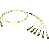 ДКС Оптическая разветвительная сборка 12ОВ 50/125 OM5, 1xMTP PRO(12)/6хLC Duplex Uniboot, 1м (предустановленная конфигурация: MTP Male , тип полярности - прямая (Tx-->Rx) RNFML12V01 DKC