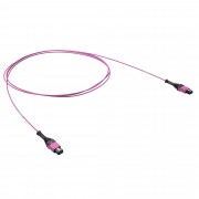 ДКС Патчкорд 12ОВ 50/125 OM4, 1xMTP PRO (12)/1xMTP PRO(12), 1м RNPCFF124B01 DKC