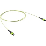 ДКС Патчкорд 12ОВ 50/125 OM5, 1xMTP PRO (12)/1xMTP PRO(12), 3м RNPCFF12VB03 DKC