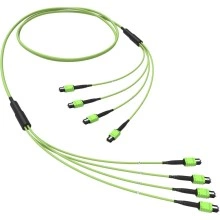 ДКС Оптическая магистральная сборка 48 ОВ 50/125 OM5, 4xMTP PRO(12)m/4xMTP PRO(12)m, тип В, 200 м RNTMM4X12V200 DKC
