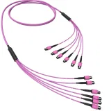 ДКС Оптическая магистральная сборка 72 ОВ 50/125 OM4, 6xMTP PRO(12)m/6xMTP PRO(12)m, тип В, 100 м RNTMM6X124100 DKC