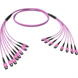 ДКС Оптическая магистральная сборка 96 ОВ 50/125 OM4, 8xMTP PRO(12)m/8xMTP PRO(12)m, тип В, 20 м RNTMM8X12420 DKC