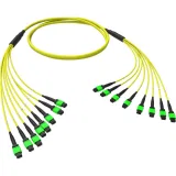 ДКС Оптическая магистральная сборка 96 ОВ 9/125 OS2, 8xMTP(12)m/8xMTP(12)m, тип В, 100 м RNTMM8X12S100 DKC